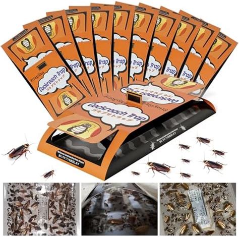 roach control thunderbolt|A Guide to Cockroach Control at Home .